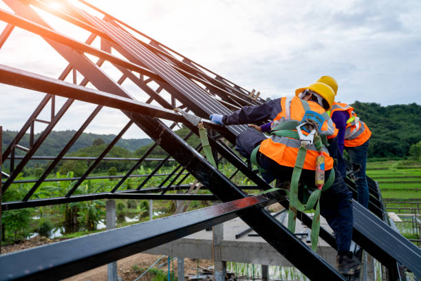 Best Roof Gutter Cleaning  in Avimor, ID